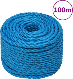 vidaXL - Werktouw - 24 - mm - 100 - m - polypropeen - blauw