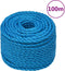 vidaXL - Werktouw - 24 - mm - 100 - m - polypropeen - blauw