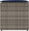 vidaXL - Kussenbox - Grijs - 50x50x50 - cm - Poly - Rattan