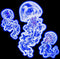UNIDRAGON Houten Puzzel Voor Volwassenen Dier - Zwervende Kwallen - 700 stukjes - Royal Size 60x60 cm