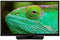 Lenco LED-2423BK - LCD TV - 24