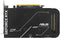 ASUS GeForce RTX 5050 - Grafische kaart - 8GB GDDR6 - 7680 x 4320 Pixels