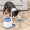 Trixie Dog Activity Memory Trainer 3.0 - Honden Speelgoed Intelligentie - Drukknop met beloning - 20 x 24 cm