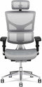 X-Chair bureaustoel X2 Wit met hoofdsteun