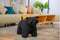 Feel Home - Kinder dierenstoel - Bulldog