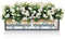 LECHUZA BALCONERA Cottage 80 - Plantenbak - met uitneembare binnenbak - bewateringssysteem - wit