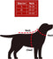 Plenty Gifts Kerst Sjaal - Honden Sjaal - Favorite Dog Poot