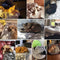 Zachte en Duurzame Huisdierendeken - Ideaal voor Katten en Honden, 100 x 150 cm