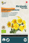 Zaden chrysanthemum enkel 1 gram