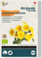 Zaden chrysanthemum enkel 1 gram