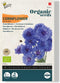 Zaden korenbloem dubbel blue 1 gram