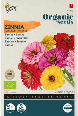 Zaden zinnia dahliabloemige 1.5 gram