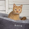 Scruffs Cosy - Kattenmand - Rond - Ø 45 cm - Grijs