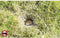 Gardigo Alu Basic Mollenverschrikker Functies: Trillingen Werkingssfeer: 700 m² 1 stuk(s)