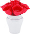 Zak!Designs Sweety Prikkertjes - Bloemetjes - Wit/Rood - Set van 7 stuks