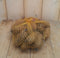 Zakje pootaardappelen 1 kg