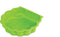 Zandbak - Zand en Water schelp - (set van 2) - Groen
