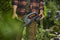 GARDENA EasyCut 45/18V P4A - Accu Heggenschaar - 45cm messen - 18V