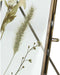 Wants&Needs Fotolijst Dried Flower Messing Brons 13 X 2 X 18