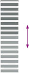 vidaXL - Zebra - rolgordijn - 55x230 - cm - stofbreedte - 50,9 - cm - donkergrijs