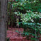 Customize it - Tuindoek lijst hout bos hertjes 210x140cm