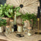 Droogbloemen in glas - Set van 4 - Gedroogde bloemendecoratie - Hoogte klein 7,5 cm en groot 12,5 cm (set van 4)