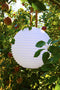 Nikki.Amsterdam | The.Ball | Lampion | RBG Multicolor | Waterdicht | Tuinverlichting | Feestverlichting | Hanglamp | Zwembad Verlichting | 42 cm ø | Inclusief Afstandsbediening