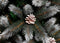 Black Box Trees Pittsfield Kunstkerstboom met LED Verlichting - H215 x Ø117 cm - Groen Frosted