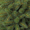 Triumph Tree Bristlecone Kunstkerstboom - H215 cm - groen