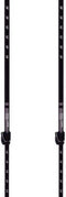 Black Diamond Trail Cork Trekking Poles - Wandelstokken - Granite