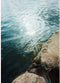Kodak Ektar H35N - Filmcamera - Ingebouwd sterfilter en bulbfunctie - Roze