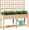 vidaXL - Tuinbak - met - Trellis - en - Plank - 161x43x152 - cm - Massief - Grenenhout