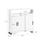 SoBuy BZR02-W - Toiletkast - Staand - 20x71x70cm - Wit