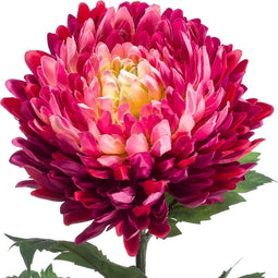 Emerald Zijden Kunstbloemen Nepbloemen Zijdebloemen Mum Spray Chrysant Fuchsia Roze 75 cm 431032