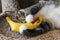 Yeowww! Banaan Kicker - Catnip Kattenkruid Speeltje voor Katten - Geel - 18 cm