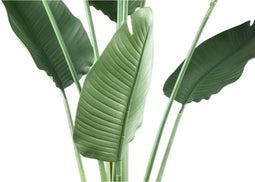 PTMD Kunstplant Reizigers Palm - 95x95x185 cm - Plastic - Groen