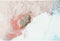Schilderij DKD Home Decor 120 x 3,5 x 80 cm Blommor Shabby Chic (3 Onderdelen)