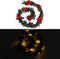 vidaXL - Kerstslinger - met - LED-lampjes - 2,7 - m - PVC - groen