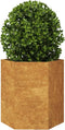 vidaXL - Plantenbak - zeshoek - 46x40x45 - cm - weervast - staal
