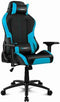 Gaming Chair DRIFT DR250