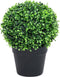vidaXL - Kunstplanten - met - pot - 2 - st - buxus - bolvorming - 27 - cm - groen