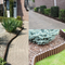 ZenXstore Hoogkwaliteit Gazonranden Tuin afboording-2.3 meter-Gazonrande- Garden Lawn Edge Border Pa