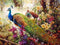 The Benelux - Diamond painting - Pauwen tussen wilde bloemen - 40x50cm