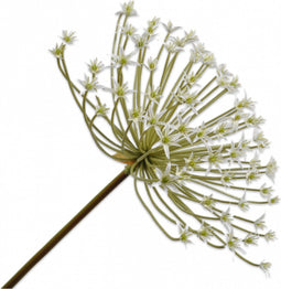 Silk-ka Kunstbloem-Zijden Bloem Allium Steel Wit 107 cm