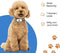 Anti Blafband – Zonder Schock – Blafband voor Honden – Anti Blaf apparaat – Trainingshalsband – Honden training – Ultrasoon – Kleine en Grote Honden – Waterdicht – LED verlichting - Oplaadbaar