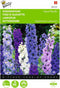 2 stuks - Buzzy - Delphinium cultorum Giant Pacific