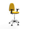 Piqueras y Crespo B2D05RN - Bureaustoel - Hoogteverstelbaar met armleuning - Geel