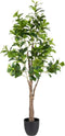 Decoratieve plant Groen PVC 145 cm Peperomia