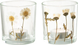 J-Line windlicht Bloem Madeliefje - glas - mix - small - 2 stuks