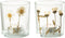 J-Line windlicht Bloem Madeliefje - glas - mix - small - 2 stuks